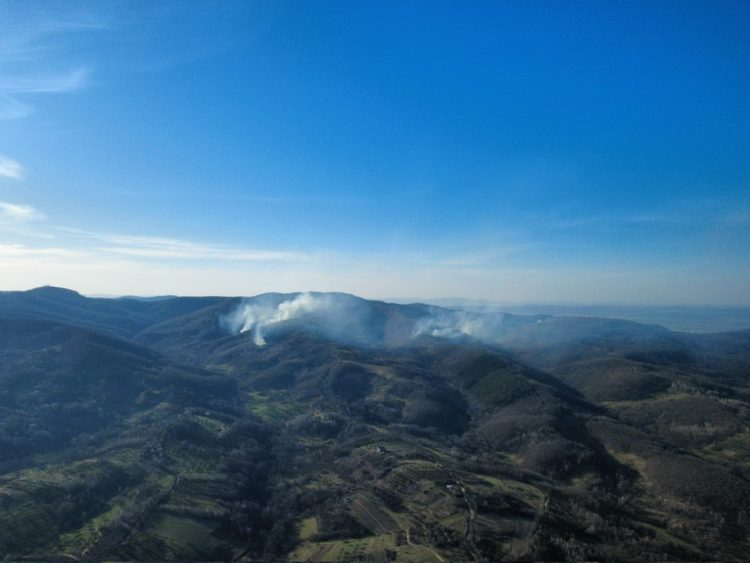 ACTUALIZARE.  ULTIMA ORĂ: Incendiu de fond forestier și vegetație în zona Suciu de Sus