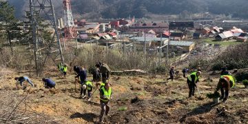 Acțiune de împădurire în Maramureș. Angajații Apelor Române Someș-Tisa au plantat arbori pentru un mediu mai curat