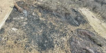 Garda de Mediu Maramureș, în alertă! Arderea vegetației continuă, deși este interzisă. Amenzi și pedepse aspre pentru proprietari