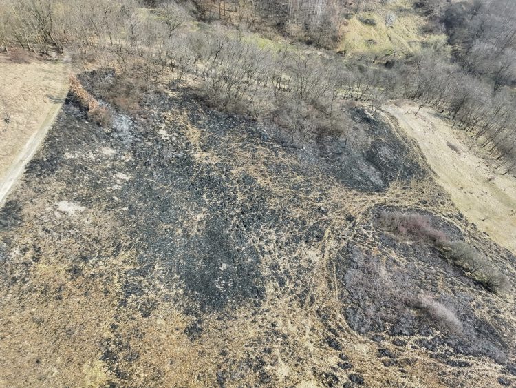 Garda de Mediu Maramureș, în alertă! Arderea vegetației continuă, deși este interzisă. Amenzi și pedepse aspre pentru proprietari