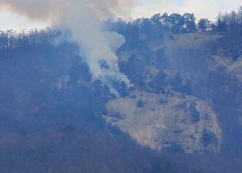 Incendiu în zona Lacului Albastru din Baia Sprie
