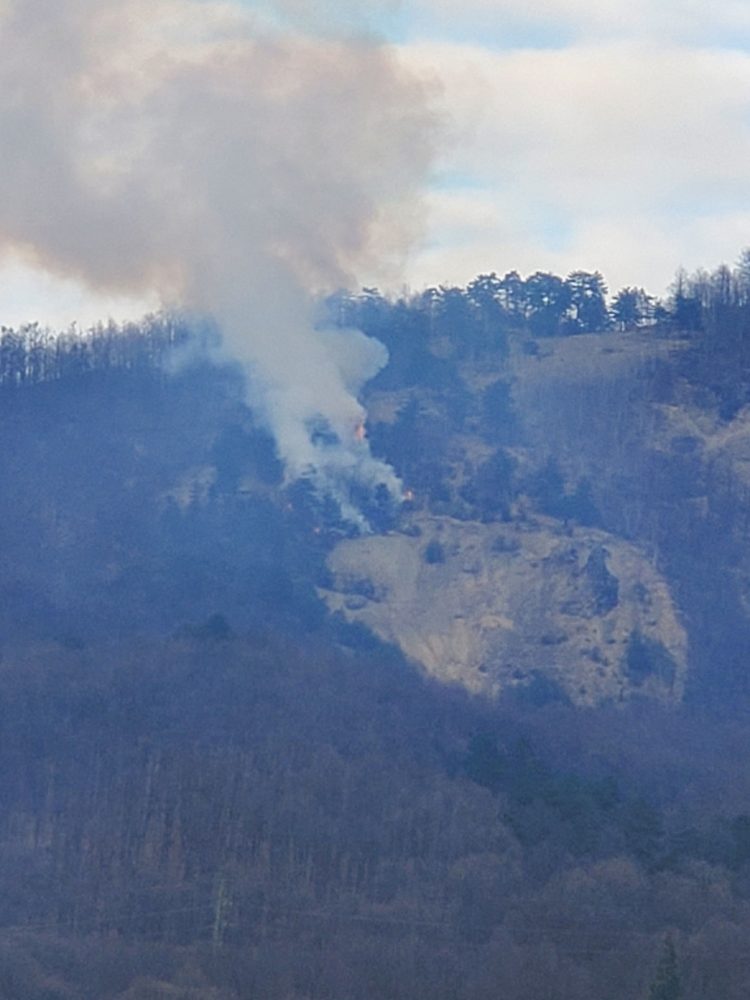 Incendiu în zona Lacului Albastru din Baia Sprie