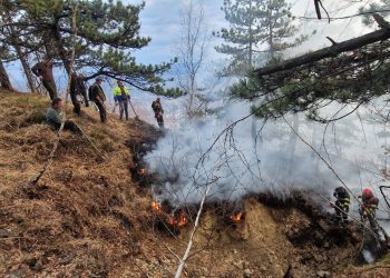 Incendiu la Lacul Albastru din Baia Sprie: focul a fost localizat după o mobilizare amplă. GALERIE FOTO