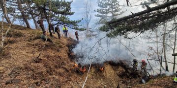 Incendiu la Lacul Albastru din Baia Sprie: focul a fost localizat după o mobilizare amplă. GALERIE FOTO