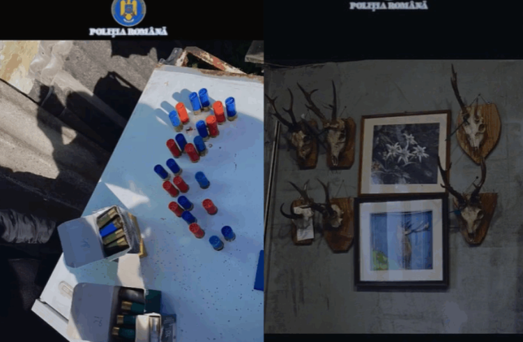 Operațiune de amploare în cadrul IPJ Maramureș – 14 percheziții și descinderi în forță într-un dosar de braconaj și arme ilegale