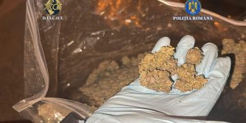 Maramureșean prins în Spania după condamnare pentru trafic de droguri