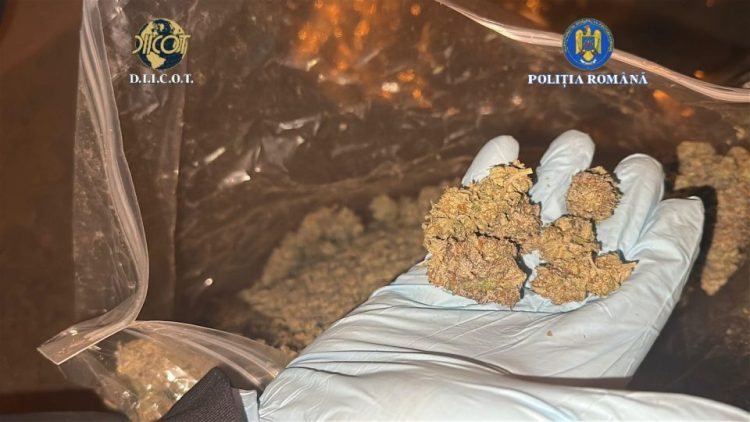 Maramureșean prins în Spania după condamnare pentru trafic de droguri