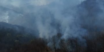 Incendiu puternic la Suciu de Sus: pompieri, voluntari și Salvamont mobilizați în lupta cu flăcările din pădure