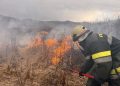 Pompierii voluntari din cadrul SVSU Târgu Lăpuș, în luptă continuă cu incendiile de vegetație