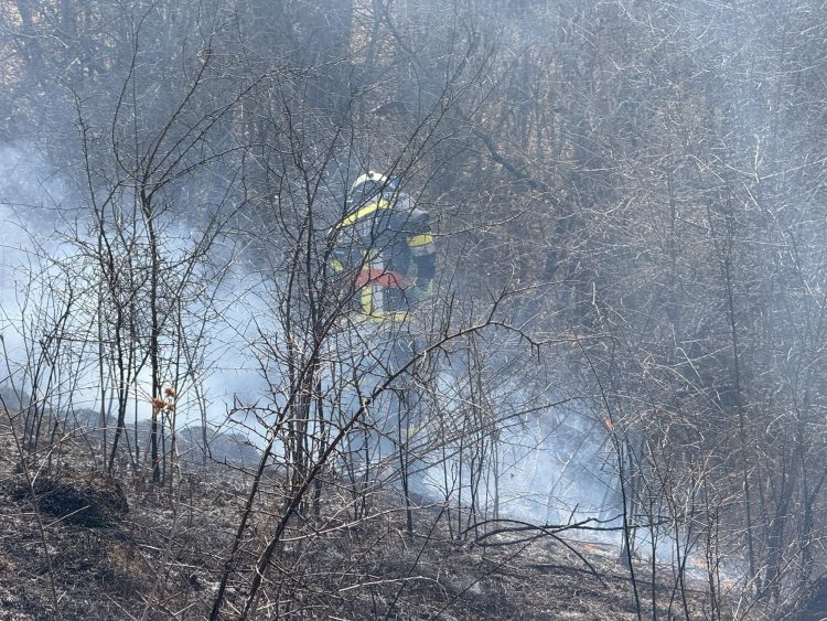 Două incendii de vegetație la Fântânele, stinse de pompierii voluntari și militari – foto