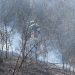 Două incendii de vegetație la Fântânele, stinse de pompierii voluntari și militari – foto