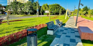 Baia Mare marchează Ziua Mondială a Asistenței Sociale printr-un eveniment dedicat comunității