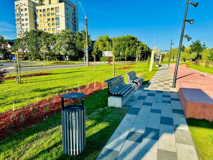 Baia Mare marchează Ziua Mondială a Asistenței Sociale printr-un eveniment dedicat comunității