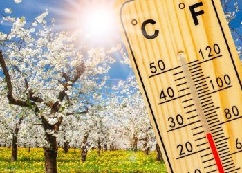 Cum va fi vremea în Maramureș până la sfârșitul lui martie