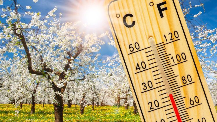 Cum va fi vremea în Maramureș până la sfârșitul lui martie