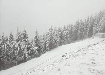 COD GALBEN de ninsori în următoarele ore