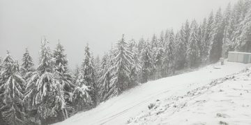 COD GALBEN de ninsori în următoarele ore