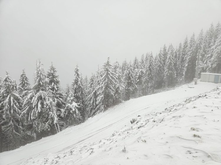 COD GALBEN de ninsori în următoarele ore