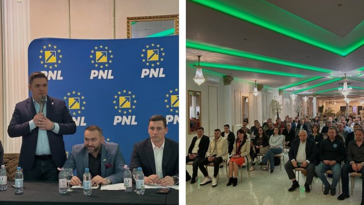 Între discurs și realitate: întâlniri politice în Țara Lăpușului, dar fără rezultate pentru oameni