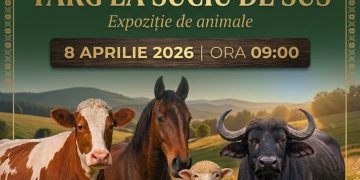 Târg de animale organizat la Suciu de Sus