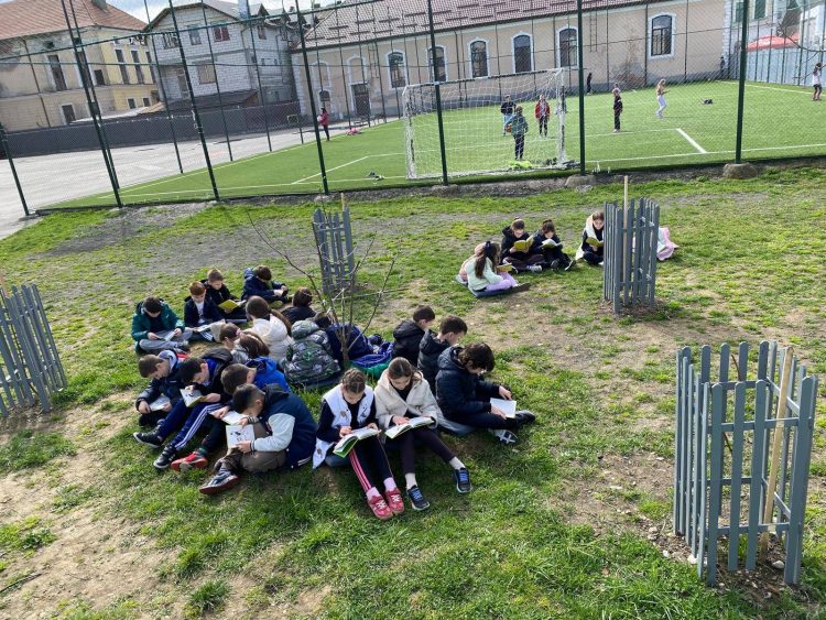 Lectura iese în aer liber – „Picnicul Lecturii” mobilizează elevii din Maramureș