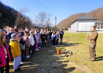 Aproape 1.000 de elevi au descoperit pădurea în cadrul programului „Săptămâna Verde”