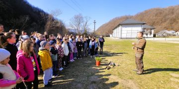 Aproape 1.000 de elevi au descoperit pădurea în cadrul programului „Săptămâna Verde”