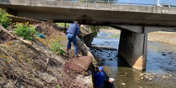 Intervenție pe râul Săsar – deșeuri și saltele, îndepărtate din albie