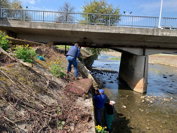 Intervenție pe râul Săsar – deșeuri și saltele, îndepărtate din albie