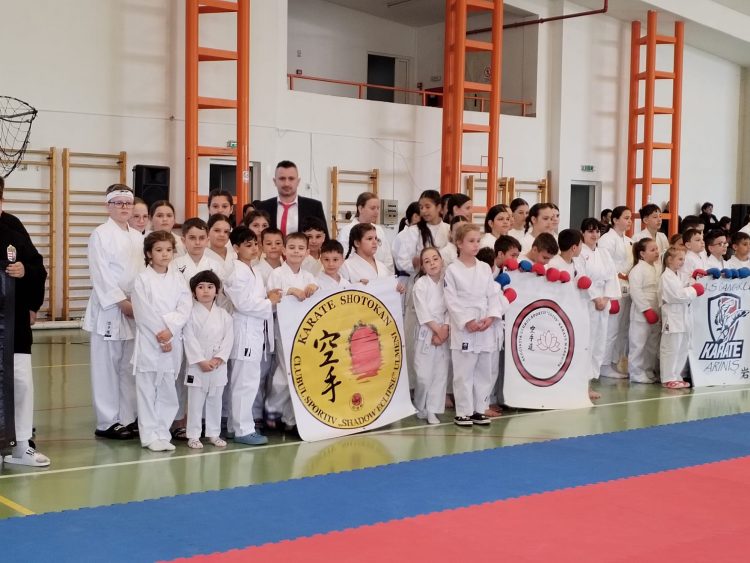 Curaj pe tatami și rezultate promițătoare: sportivii din Ulmeni, pe podium la Cupa Șimleului