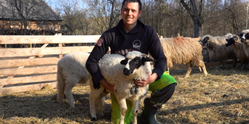 Oile breze ale lui Marian Achim din Remetea Chioarului, un exemplu de pasiune și tradiție