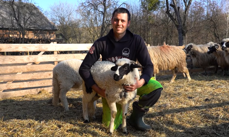 Oile breze ale lui Marian Achim din Remetea Chioarului, un exemplu de pasiune și tradiție