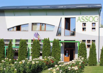 Un pas important pentru modernizarea serviciilor sociale prin proiectul „Dezvoltare prin digitalizare – ASSOC”