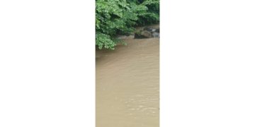 Agenția Vital Tăuții Măgherăuș anunță apă cu turbiditate în cartierul Băița Băii