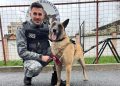 La mulți ani, Dovah! Câinele polițist din Maramureș a împlinit 3 ani