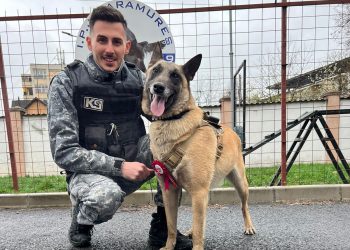 La mulți ani, Dovah! Câinele polițist din Maramureș a împlinit 3 ani