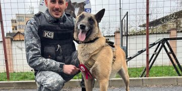 La mulți ani, Dovah! Câinele polițist din Maramureș a împlinit 3 ani