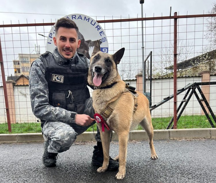 La mulți ani, Dovah! Câinele polițist din Maramureș a împlinit 3 ani