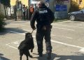 Polițiștii au ajuns în școlile din Tăuții Măgherăuș și Nistru alături de câinele Ceb