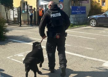 Polițiștii au ajuns în școlile din Tăuții Măgherăuș și Nistru alături de câinele Ceb