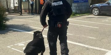 Polițiștii au ajuns în școlile din Tăuții Măgherăuș și Nistru alături de câinele Ceb