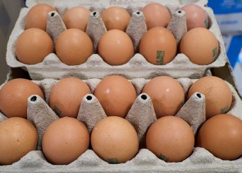 Alertă înainte de Paște. Aproximativ 1,5 milioane de ouă ar putea fi contaminate cu salmonella