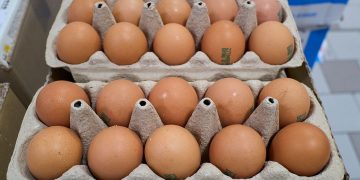 Alertă înainte de Paște. Aproximativ 1,5 milioane de ouă ar putea fi contaminate cu salmonella