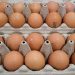 Alertă înainte de Paște. Aproximativ 1,5 milioane de ouă ar putea fi contaminate cu salmonella