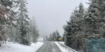 Ninge în zonele montane din Maramureș – Intervenție pe DN18, în Pasul Prislop
