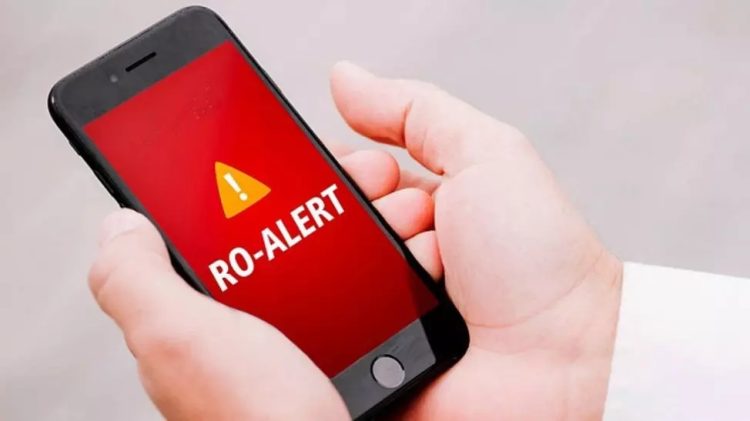 Alertă în Maramureș – Urs semnalat la Vișeu de Jos, autoritățile au emis RO-Alert