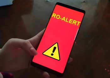 Alertă în Maramureș – Urs semnalat la Vișeu de Jos, autoritățile au emis RO-Alert