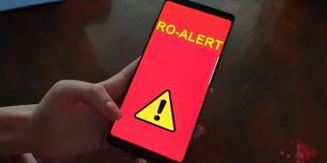 Alertă în Maramureș – Urs semnalat la Vișeu de Jos, autoritățile au emis RO-Alert
