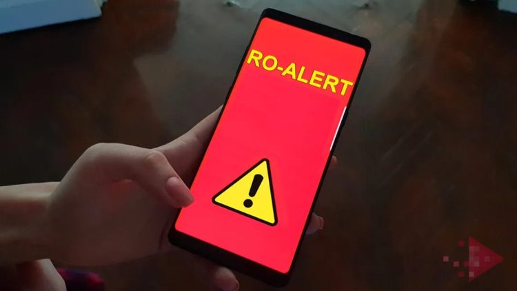 Alertă în Maramureș – Urs semnalat la Vișeu de Jos, autoritățile au emis RO-Alert