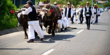 Udătoriul din Șurdești, în a doua zi de Paște la Biserica de lemn „Sfinții Arhangheli Mihail și Gavril”
